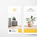 Флаеры евроформата